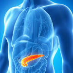 body-pancreas-image-1
